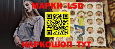 крисы Кулебаки