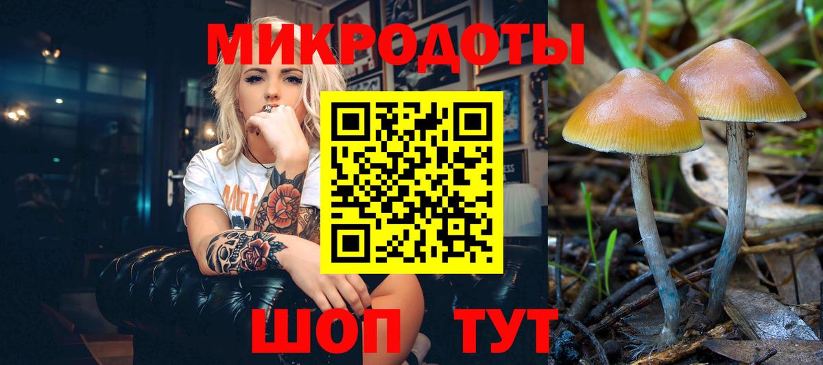 Волжск  Псилоцибиновые грибы Psilocybe  Вход с VPN  Галлюциногенные грибы GOLDEN TEACHER 